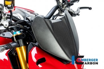  Ducati / Streetfighter V4 / 2020