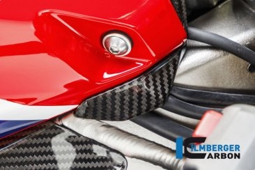 Carbon Fiber Center Tank Cover by Ilmberger Carbon Honda / CBR1000RR / 2019