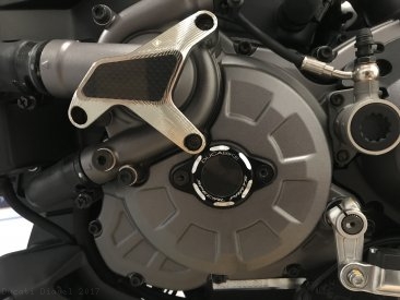 Water Pump Guard with Carbon Inlay by Ducabike Ducati / Diavel / 2017