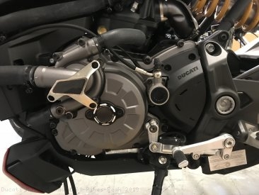 Water Pump Guard with Carbon Inlay by Ducabike Ducati / Multistrada 1260 Pikes Peak / 2019