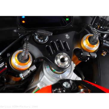  Aprilia / RSV4 Factory / 2009