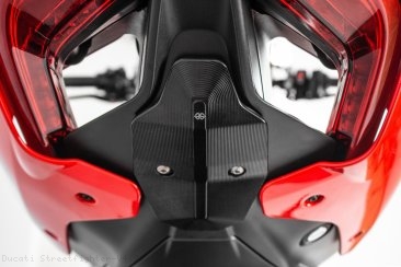  Ducati / Streetfighter V4 / 2021