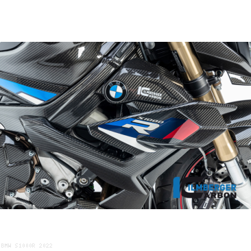  BMW / S1000R / 2022