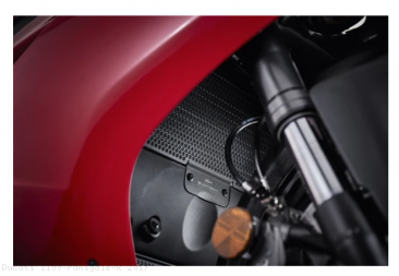  Ducati / 1199 Panigale R / 2017