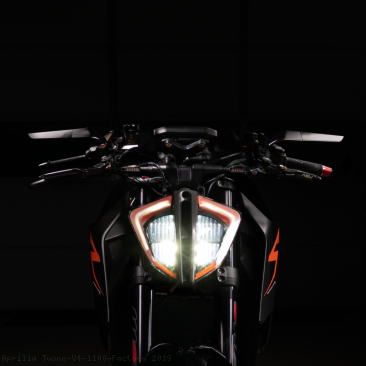  Aprilia / Tuono V4 1100 Factory / 2019