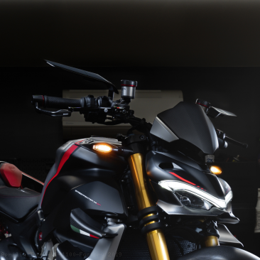  Aprilia / Tuono V4 1100 Factory / 2019