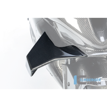 Open Box Carbon Fiber Winglet by Ilmberger Carbon