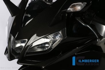 Carbon Fiber Front Fairing by Ilmberger Carbon Aprilia / RSV4 Factory / 2011