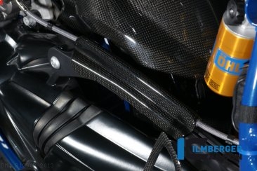 Carbon Fiber Brake Line Cover by Ilmberger Carbon BMW / R1200R / 2013