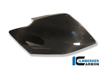 Carbon Fiber Fairing Side Panel by Ilmberger Carbon