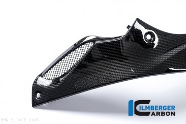 Carbon Fiber Left Side Tank Panel by Ilmberger Carbon BMW / S1000R / 2015