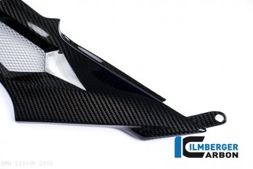 Carbon Fiber Left Side Tank Panel by Ilmberger Carbon BMW / S1000R / 2016