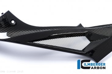 Carbon Fiber Left Side Tank Panel by Ilmberger Carbon BMW / S1000R / 2015