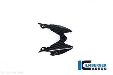 Carbon Fiber Upper Rear Tail Light Center Surround Piece by Ilmberger Carbon BMW / S1000R / 2018