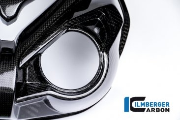 Carbon Fiber Front Fairing by Ilmberger Carbon BMW / S1000R / 2014