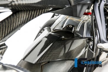 Carbon Fiber Rear Hugger by Ilmberger Carbon BMW / S1000R / 2016