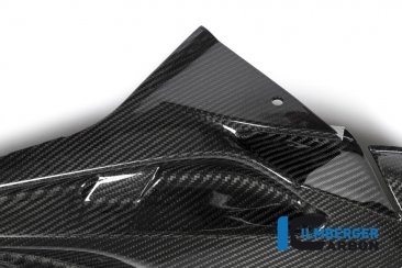 Carbon Fiber Right Side Fairing Panel by Ilmberger Carbon BMW / S1000RR / 2018