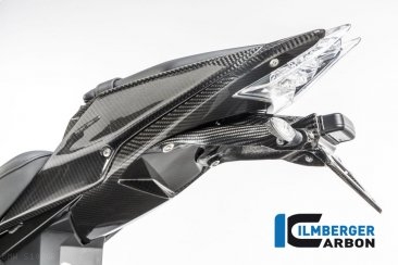 Carbon Fiber Seat Surround Set by Ilmberger Carbon BMW / S1000R / 2017