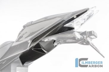 Carbon Fiber Rear Undertail Tray by Ilmberger Carbon BMW / S1000R / 2017
