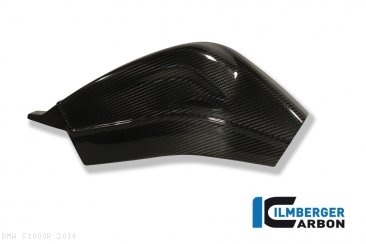 Carbon Fiber Swingarm Cover Set by Ilmberger Carbon BMW / S1000R / 2014