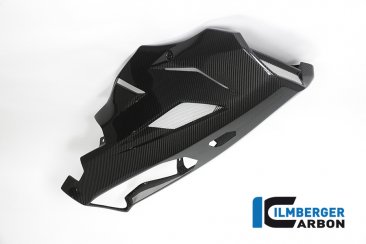 Carbon Fiber Bellypan by Ilmberger Carbon