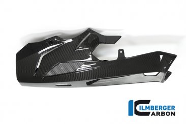 Carbon Fiber Bellypan by Ilmberger Carbon