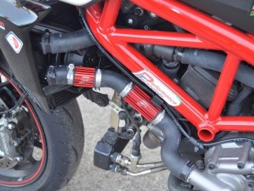  Ducati / Hypermotard 950 SP / 2023