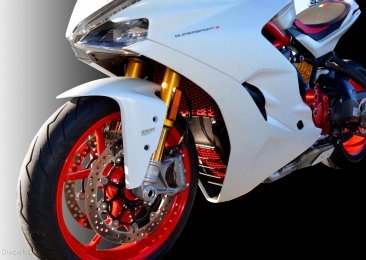 Aluminum Radiator Guard by Ducabike Ducati / Monster 1200R / 2021