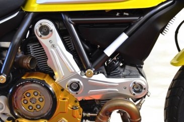 Billet Aluminum Timing Belt Covers by Ducabike Ducati / Scrambler 800 Desert Sled / 2017