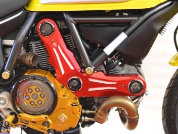 Billet Aluminum Timing Belt Covers by Ducabike Ducati / Scrambler 800 Icon / 2015