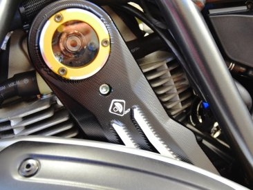 Billet Aluminum Timing Belt Covers by Ducabike Ducati / Scrambler 800 Flat Tracker Pro / 2016