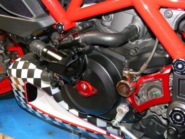 Water Pump Guard with Carbon Inlay by Ducabike Ducati / Monster 1200 / 2014