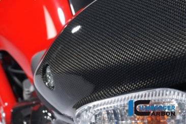 Carbon Fiber Passenger Seat Cover by Ilmberger Carbon Ducati / Monster 1100 S / 2010