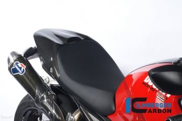 Carbon Fiber Passenger Seat Cover by Ilmberger Carbon Ducati / Monster 1100 S / 2010