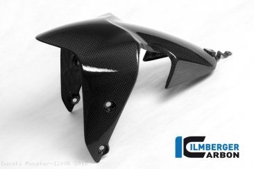 Carbon Fiber Front Fender by Ilmberger Carbon Ducati / Monster 1200R / 2018