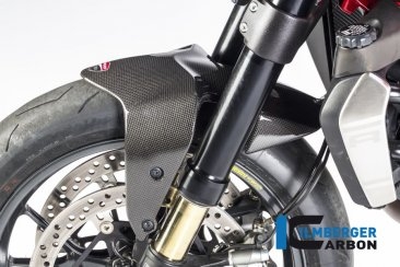 Carbon Fiber Front Fender by Ilmberger Carbon Ducati / Monster 1200 / 2018