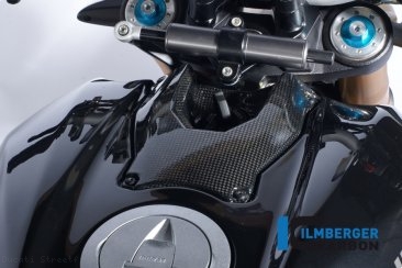 Carbon Fiber Ignition Cover by Ilmberger Carbon Ducati / Streetfighter 1098 S / 2009