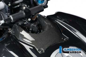 Carbon Fiber Ignition Cover by Ilmberger Carbon