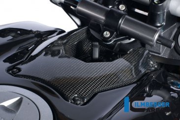 Carbon Fiber Ignition Cover by Ilmberger Carbon