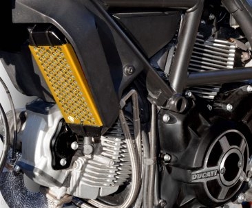 Aluminum Oil Cooler Guard by Ducabike Ducati / Scrambler 800 / 2015