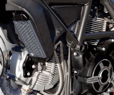 Aluminum Oil Cooler Guard by Ducabike Ducati / Scrambler 800 / 2015