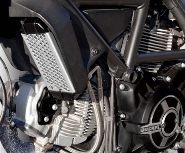 Aluminum Oil Cooler Guard by Ducabike Ducati / Scrambler 800 / 2015