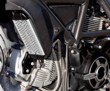 Aluminum Oil Cooler Guard by Ducabike Ducati / Scrambler 800 Desert Sled / 2019