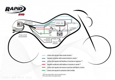 Rapid Bike EVO Auto Tuning Fuel Management Tuning Module Suzuki / GSX-R600 / 2012