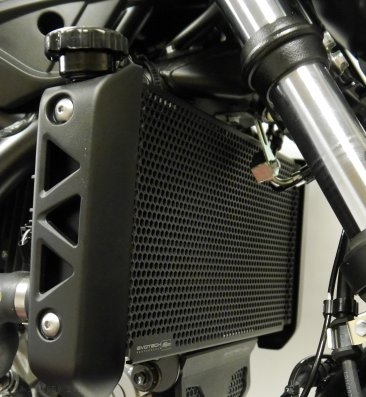 Radiator Guard by Evotech Performance Suzuki / SV650 / 2018