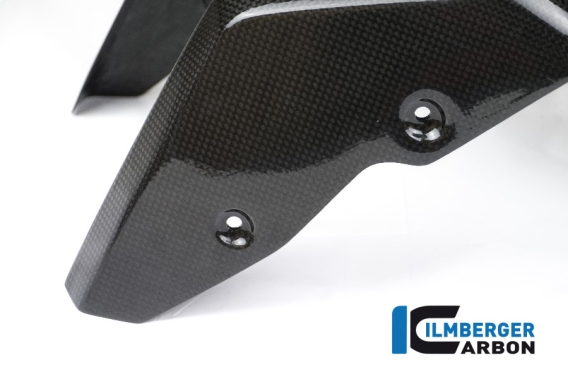 Carbon Fiber Front Fender by Ilmberger Carbon