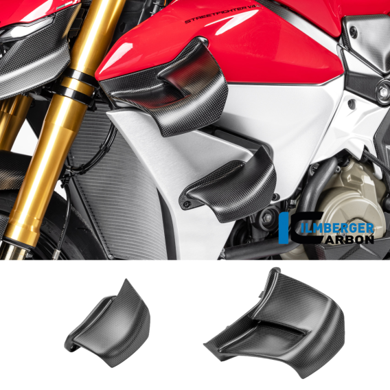 Carbon Fiber Winglet by Ilmberger Carbon