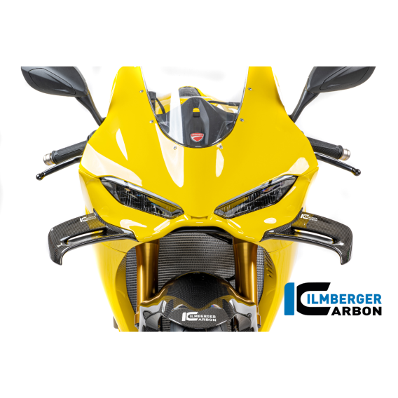 Carbon Fiber Winglet by Ilmberger Carbon