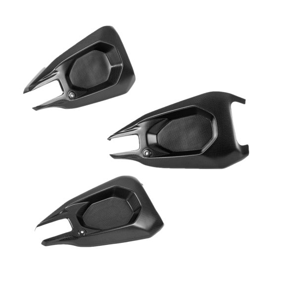 Ducati Panigale V4 Streetfighter V4 Carbon Fiber Swingarm Cover by Ilmberger Carbon 2025 2026 202...