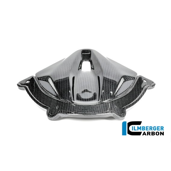 ducati panigale v4 carbon fiber ilmberger